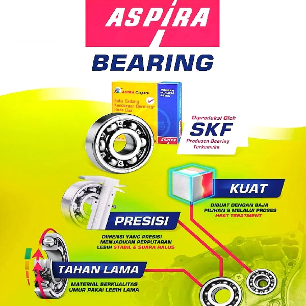 ASPIRA Laher Bearing 6300 RS