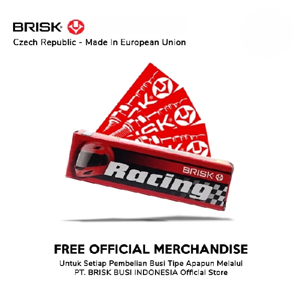 BRISK Busi AR12YS Silver Racing
