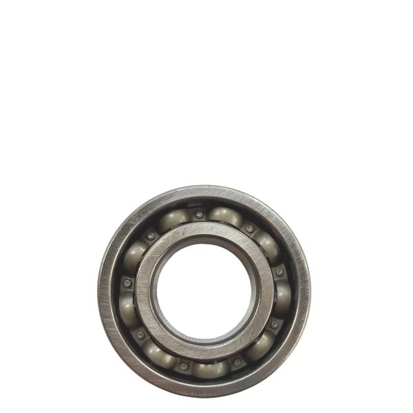 DAYTONA Laher Bearing 6205