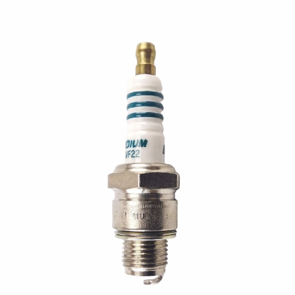 DENSO Busi Iridium IWF22 (D)