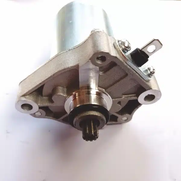 LOKAL Dinamo Starter Vario Beat