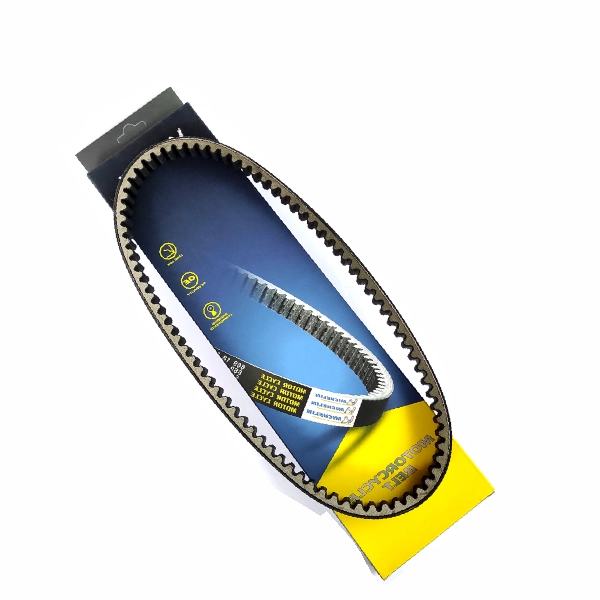 MICHELIN Vbelt Mio-J X-Ride 54P