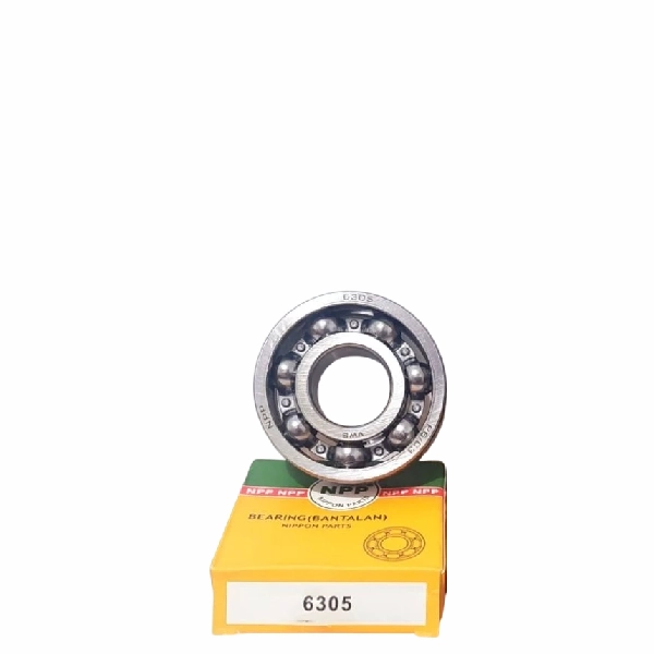 NPP Laher Bearing 6305