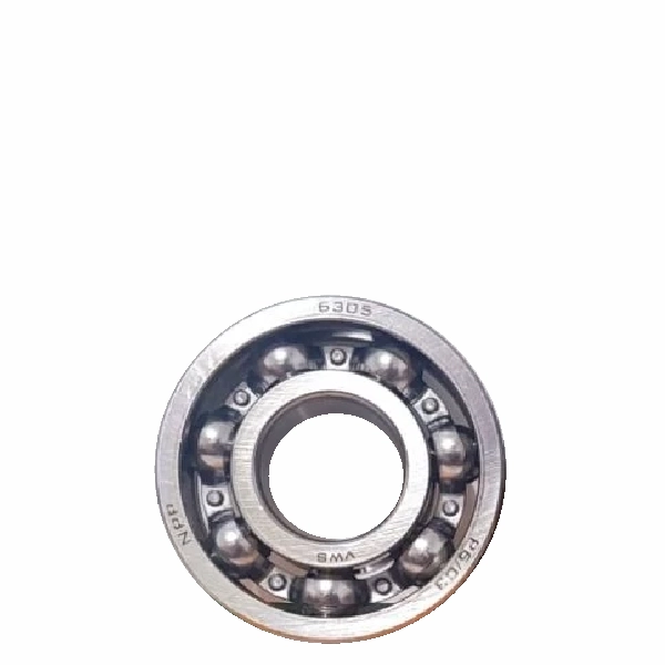 NPP Laher Bearing 6305