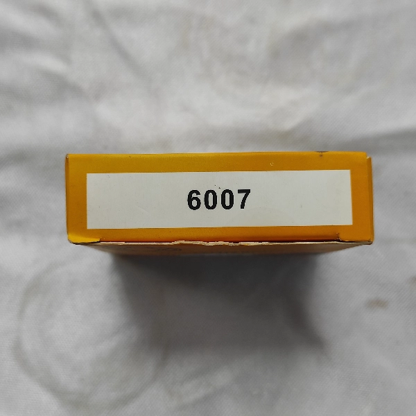 NPP Laher Bearing 6007