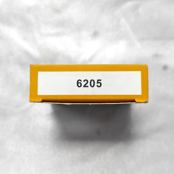 NPP Laher Bearing 6205