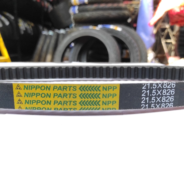 NPP Vbelt +Roller Vario 125 (KZR)