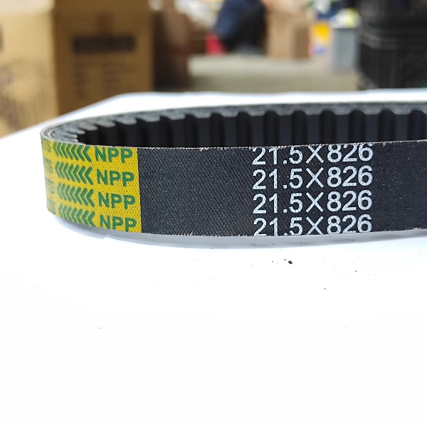 NPP Vbelt Vario125 Fi KZR