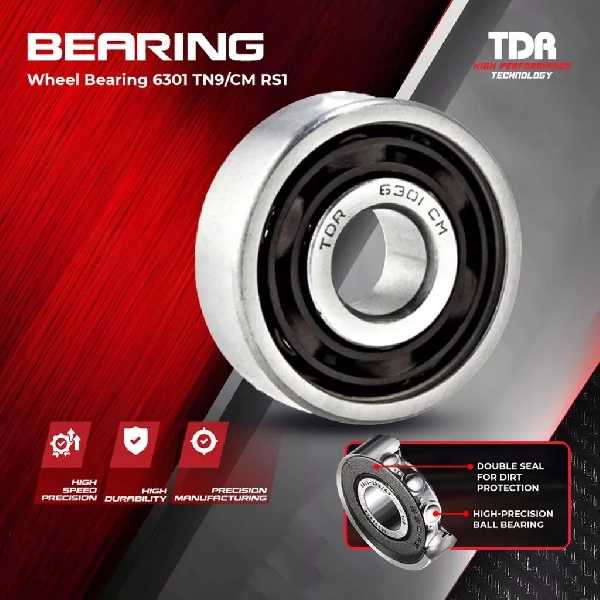 TDR Laher Bearing 6301
