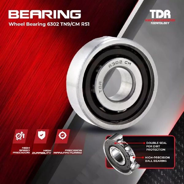 TDR Laher Bearing 6302