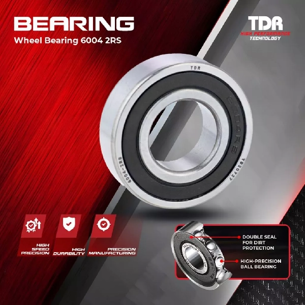 TDR Laher Bearing 6004