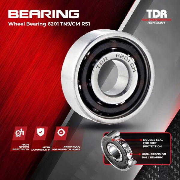 TDR Laher Bearing 6201