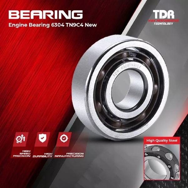TDR Laher Bearing 6304