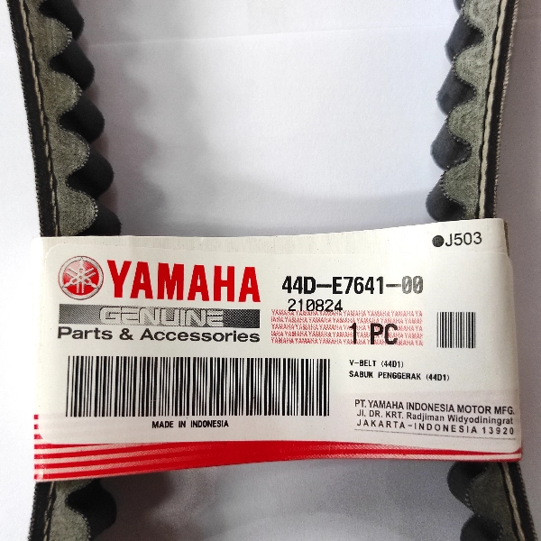 YGP Vbelt Xeon Ori 44D